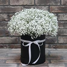 Цветочная композиция из Гипсофила в шляпной коробке #REPLACE_PRED# Витиме