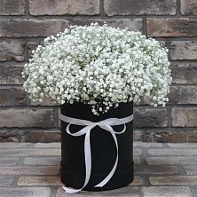 Цветочная композиция из Гипсофила в шляпной коробке в Витиме