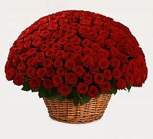 Премиум букет из: Розы в Витиме